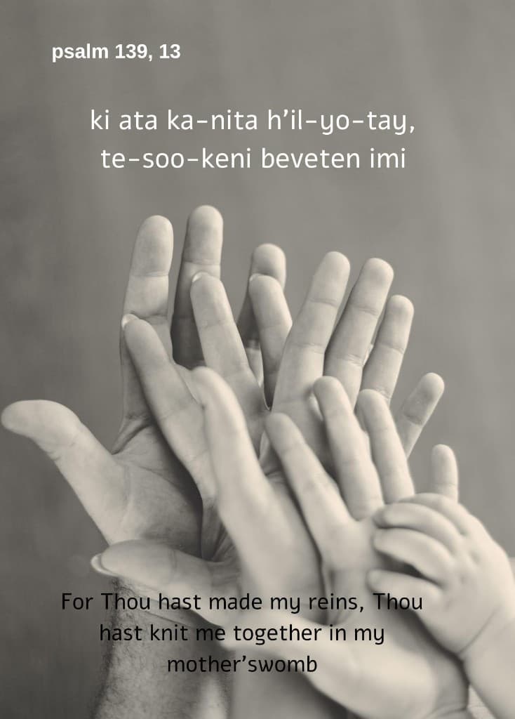 In My Mother’s Womb, Psalm 139:13